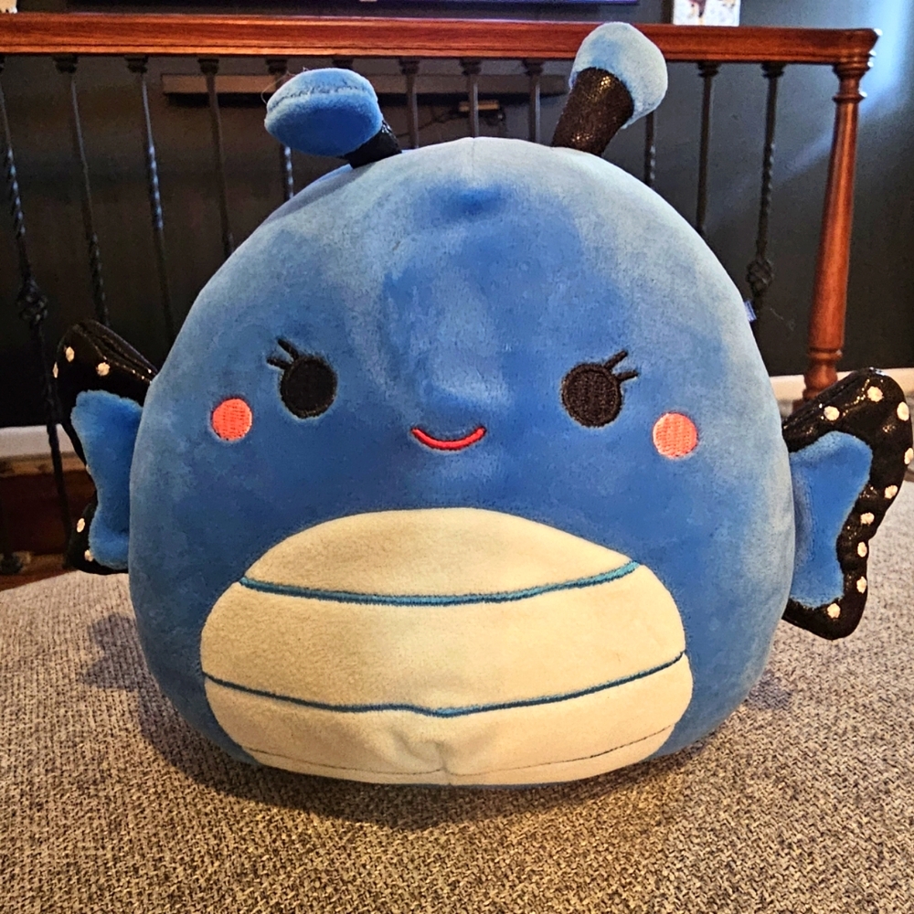 Waverly blue butterfly